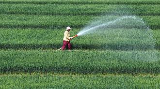 深圳龙岗平湖两栋仓储物业将整体拍卖 起拍价2.66亿元